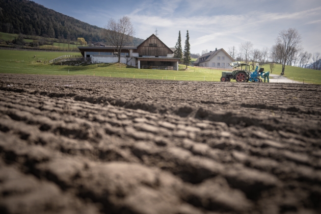 Dr. Schär startet Projekt für mehr Biodiversität - Dr. Schär sät Field100 - Quelle: Dr. Schär